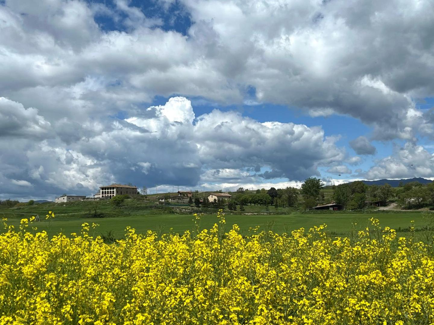 Els camps a la primavera